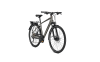 Raleigh RUSHHOUR 7.0 55 steelgrey glossy