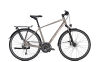 Raleigh RUSHHOUR 6.0 60 moonstonegrey glossy